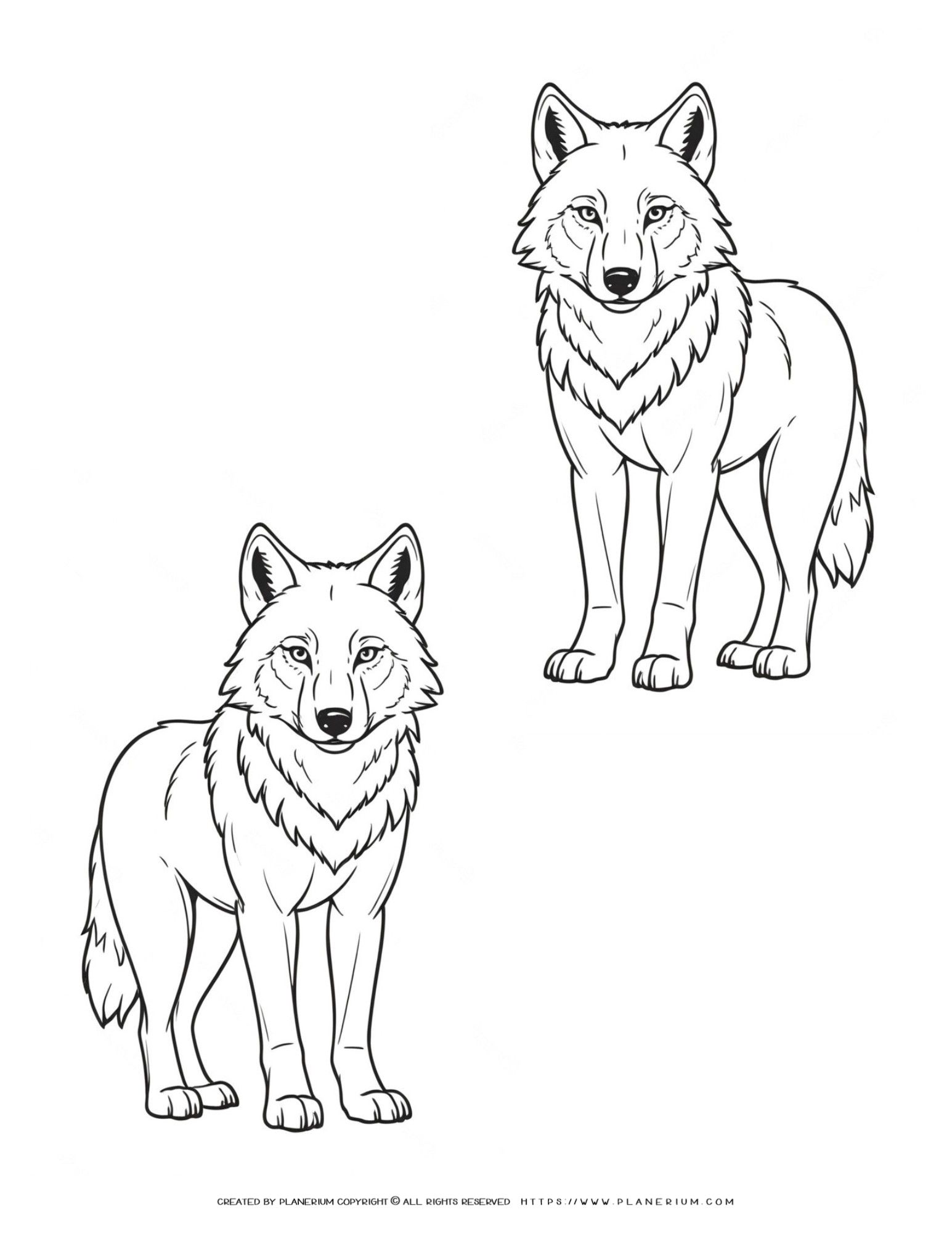 Two Wolf Outline Coloring Page for Relaxation and Creativity