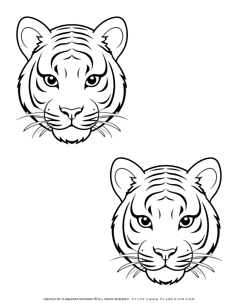 two-tiger-face-outlines-illustration