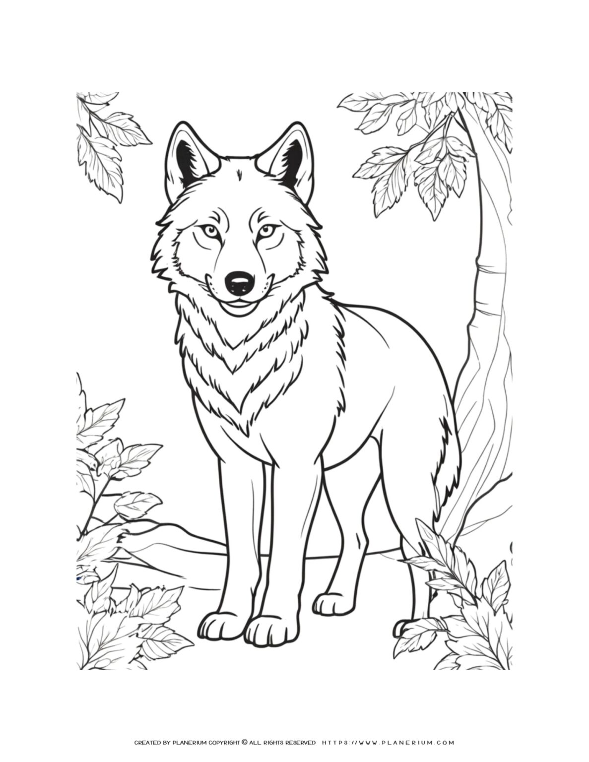 Wolf Outline Coloring Page for Kids - Fun and Educational Wildlife Activity