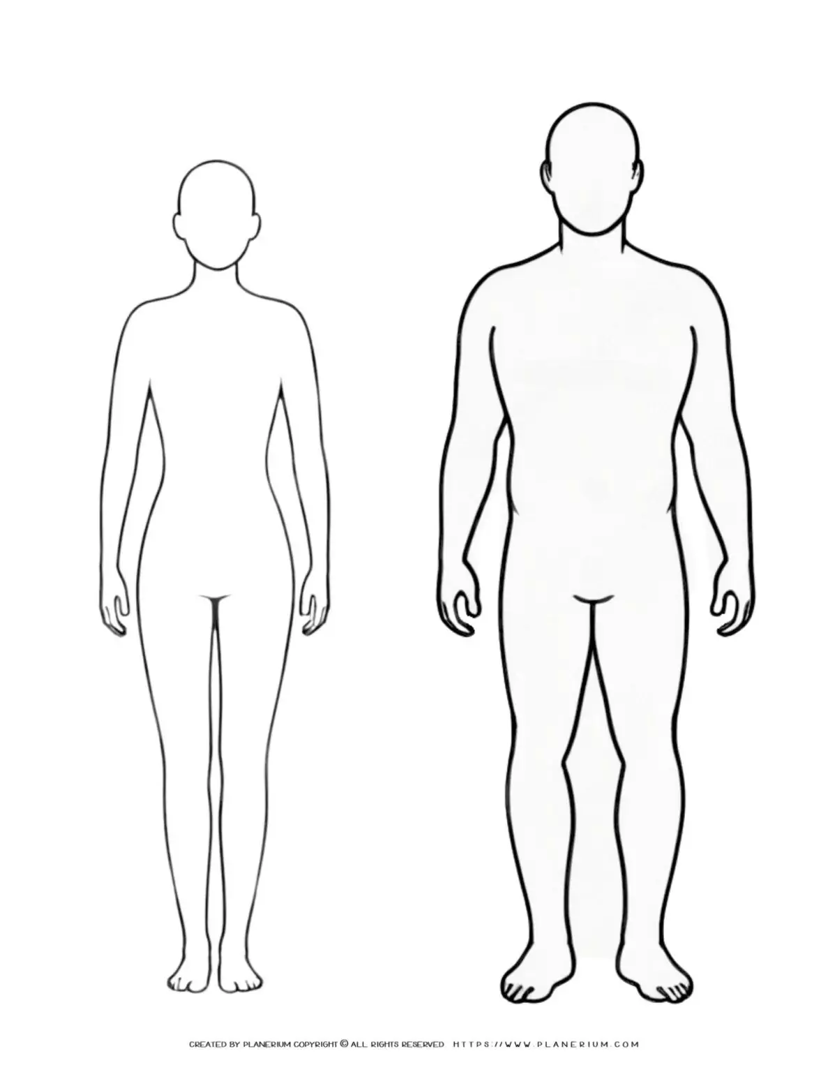 Outline of male and female bodies.