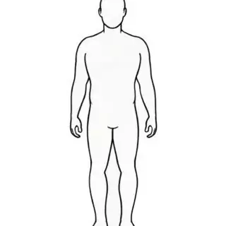 Human body outline diagram