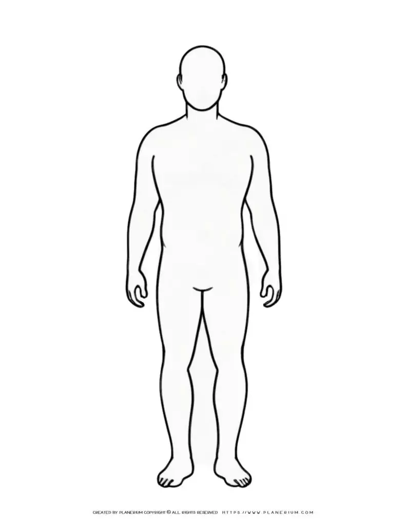 Human body outline diagram