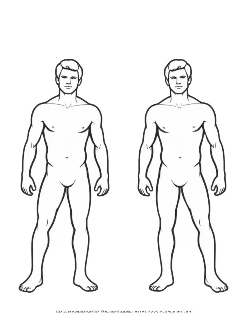 Two male human body outlines