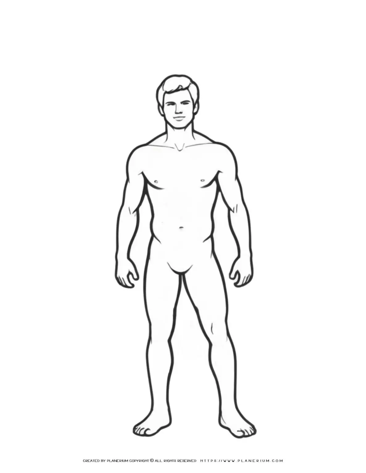Outline drawing of a male body