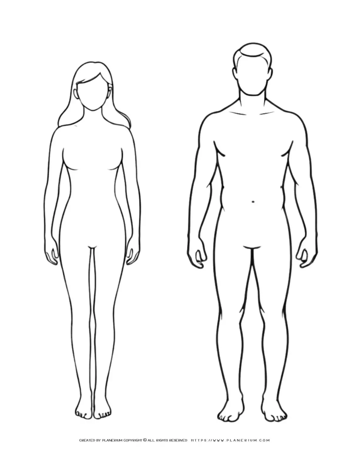 Outline of male and female bodies.