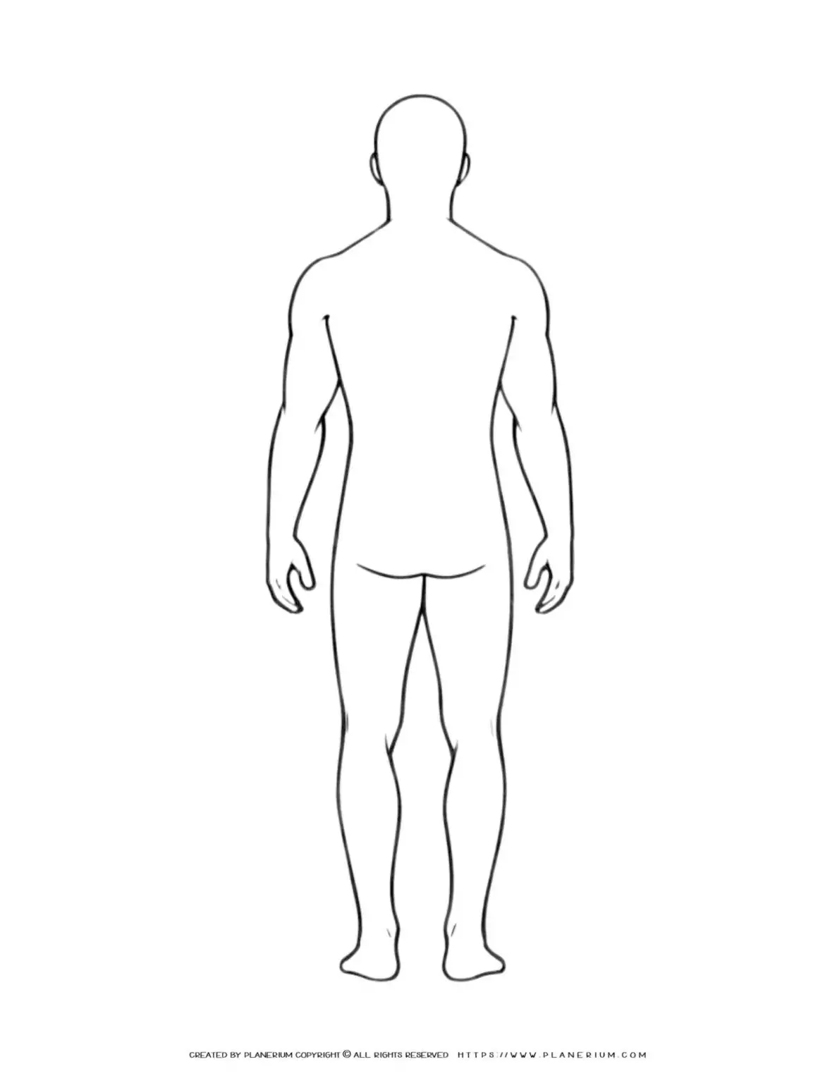 Outline of human body, back view