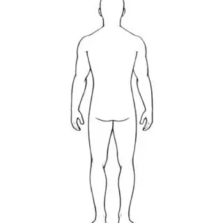 Outline of human body, back view
