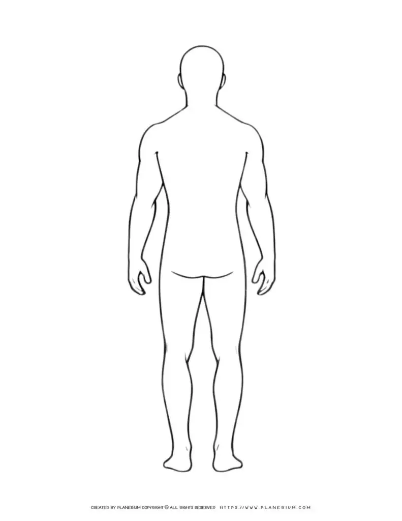Outline of human body, back view