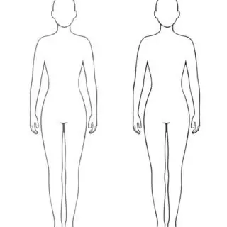 Outline of two human figures side by side
