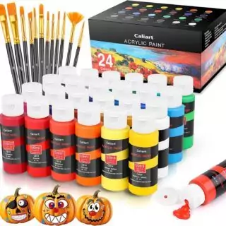 Caliart Acrylic Paint Set includes 24 vibrant colors and 12 brushes, ideal for educational art projects and creative painting activities.