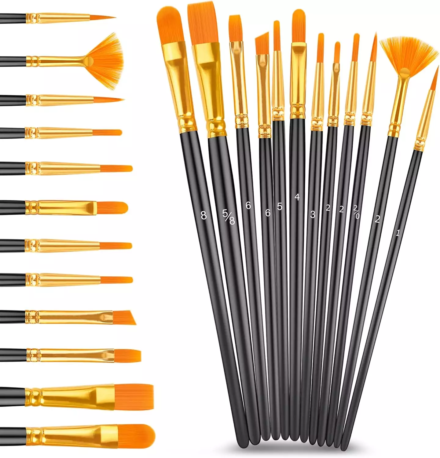 Caliart Acrylic Paint Set includes 24 vibrant colors and 12 brushes, ideal for educators and artists seeking high-quality art supplies.