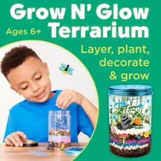 Engage kids aged 6-8 with a Creative Learning Terrarium Kit, an educational science activity fostering fun and interactive playtime.