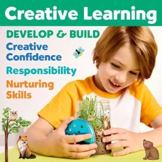 Engage kids aged 6-8 in a fun and educational science activity with a creative learning terrarium kit, exploring a colorful DIY ecosystem.