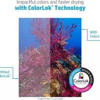 HP 20lb Printing Paper - Ideal for everyday printing, this lightweight, affordable paper ensures crisp text and vivid images for professional results.