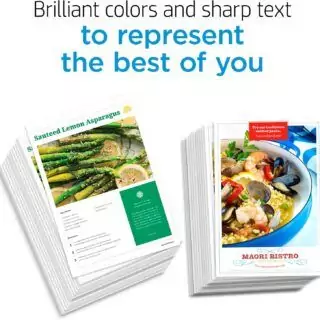 HP 67XL Black Ink Cartridge: High Yield for DeskJet & Envy Printers, Ideal for Educational Use