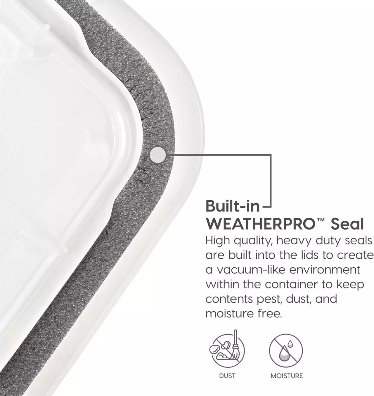 Durable Weatherproof File Box Organizer for Teachers in a Woodland Classroom Setting; Organize Classroom Materials with Ease and Protect Against Elements.