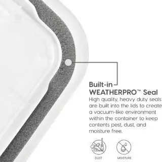 Durable Weatherproof File Box Organizer for Teachers in a Woodland Classroom Setting; Organize Classroom Materials with Ease and Protect Against Elements.