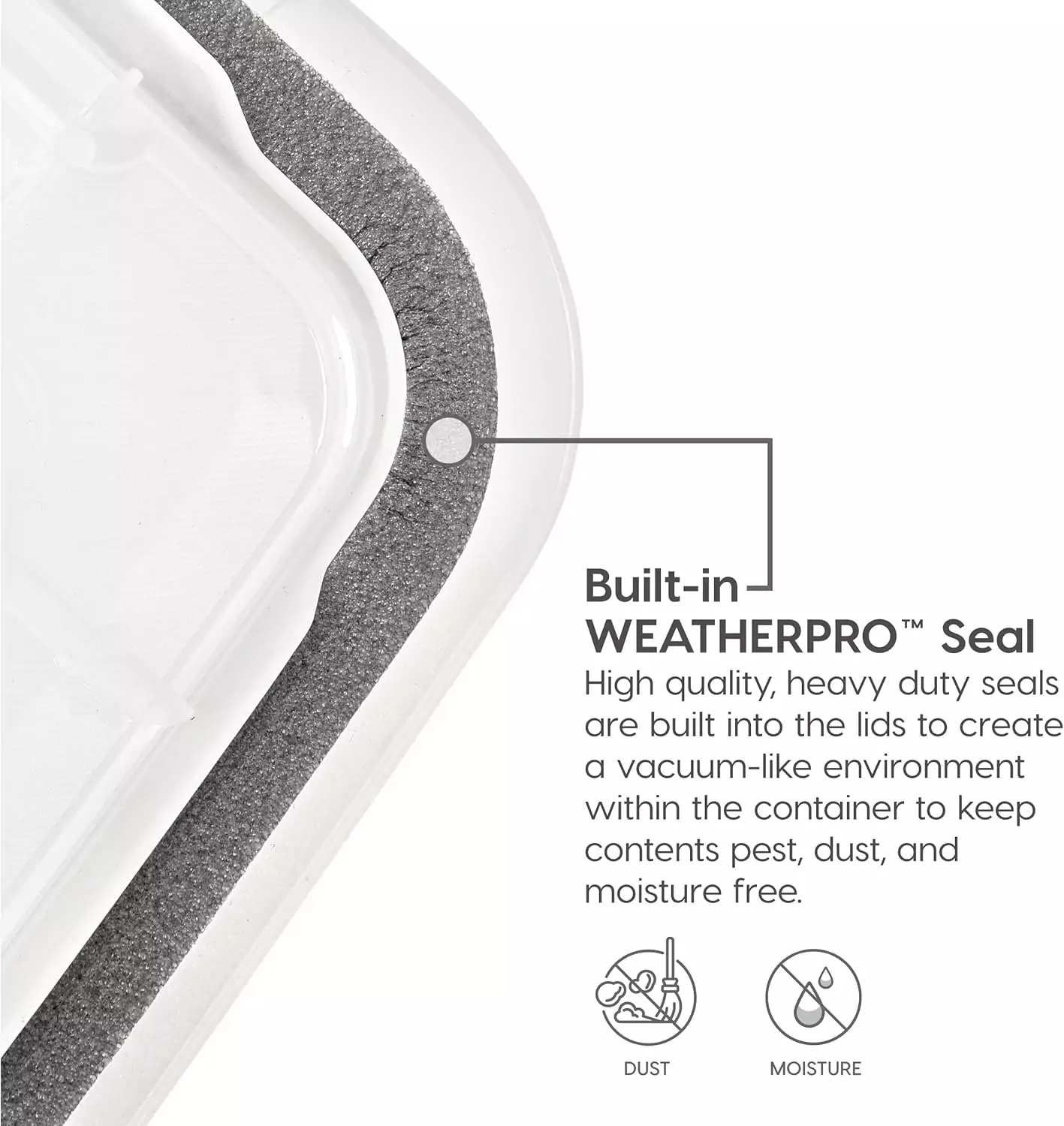 Durable Weatherproof File Box Organizer for Teachers in a Woodland Classroom Setting; Organize Classroom Materials with Ease and Protect Against Elements.