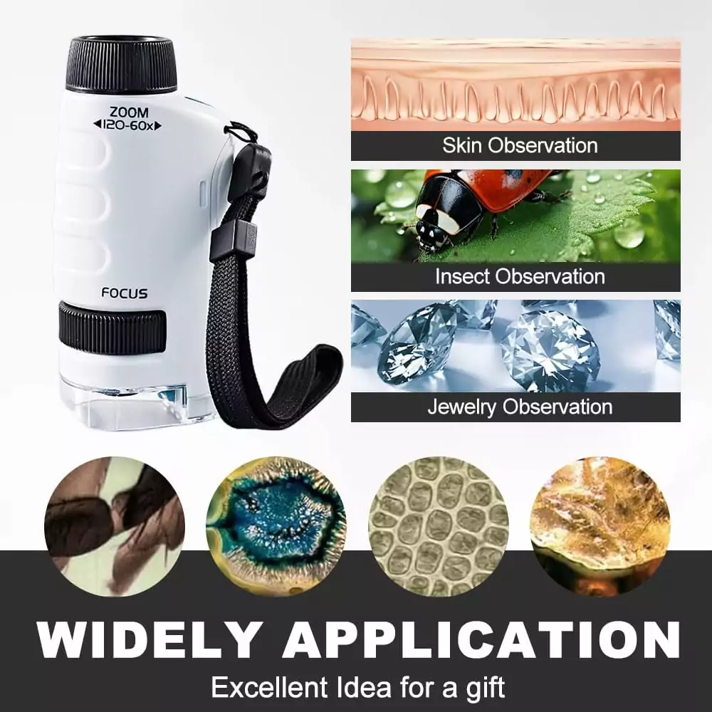 Compact Marvin Microscope: Ideal Mini Science Tool for Young Explorers and Educators Engaging in Educational Discovery. Perfect for STEM Learning.