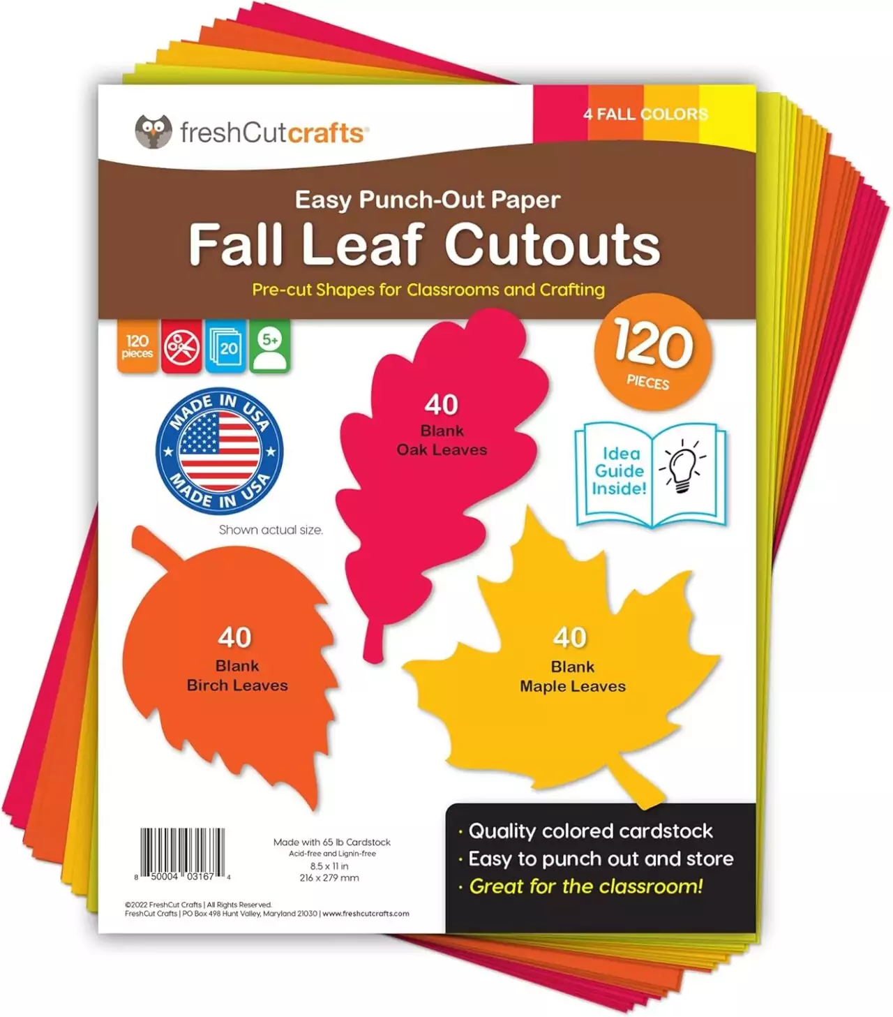 Double-sided maple and oak fall leaf cutouts for classroom decor, crafted from sturdy cardstock, perfect for creating an autumn-themed atmosphere.