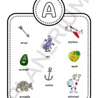 Illustrated alphabet card for letter A with images.