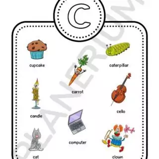 Illustrations of words that start with C.