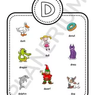 Illustrations of words starting with D: duck, donut, doll.