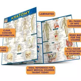 Anatomy Quick Study Guide: Laminated Reference for Teachers and Learners, Essential Tips and Info for Easy Understanding and Effective Learning