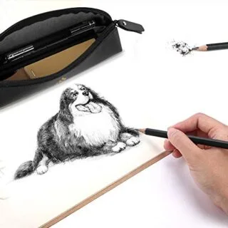 Art Drawing Pencil Set: Ideal for Classroom Sketching with Premium Graphite and Charcoal Pencils, Enhancing Every Student's Creative Experience