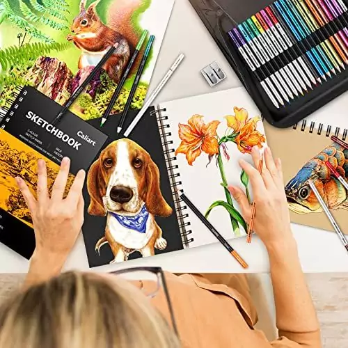 Enhance your creativity with the Caliart 176-piece Sketching Kit, featuring a 3-color sketchbook ideal for educators and creative sessions.