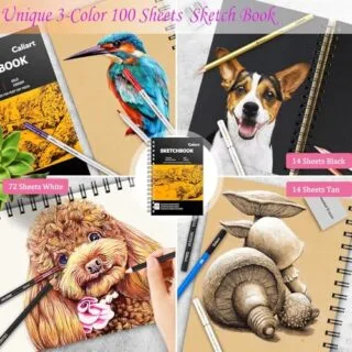 Complete Caliart Sketching Set 176pcs: Unleash Creativity and Inspire Educators with a Versatile and Comprehensive Art Tool Collection.
