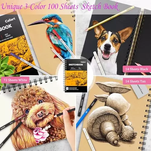 Complete Caliart Sketching Set 176pcs: Unleash Creativity and Inspire Educators with a Versatile and Comprehensive Art Tool Collection.