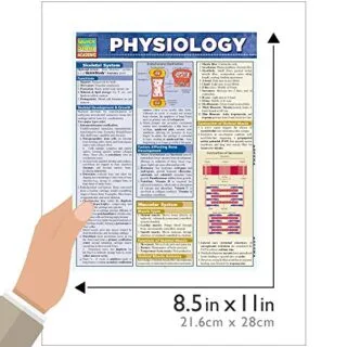 Ultimate Physiology Resource: In-depth Concepts, Essential Facts, and Engaging Visuals for Effective Learning and Understanding