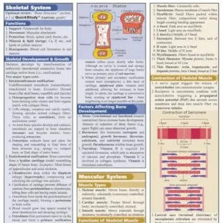 Comprehensive Physiology Guide: Essential Concepts, Quick Facts, and Visual Aids for Enhanced Learning and Understanding of Vital Physiological Processes