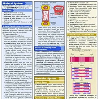 In-depth Physiology Guide: Essential Concepts and Quick Facts for Efficient Learning and Understanding
