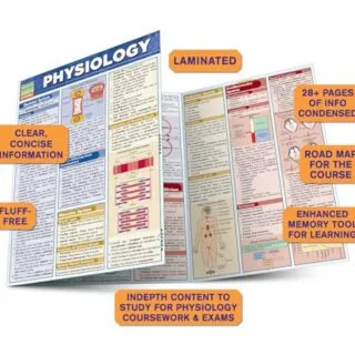 Explore an in-depth physiology guide featuring vital concepts and visual aids designed to enhance learning and deepen understanding of essential physiological principles.