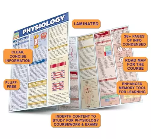 Explore an in-depth physiology guide featuring vital concepts and visual aids designed to enhance learning and deepen understanding of essential physiological principles.