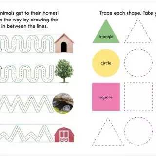 Children's Workbook: Improve Pen Control and Tracing Skills for Letter Development and Early Writing Proficiency. Perfect for Skill-Building Activities.