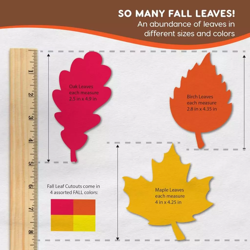 Enhance classroom aesthetics with vibrant maple and oak leaf cutouts, perfect for educational displays and creating an engaging learning environment.