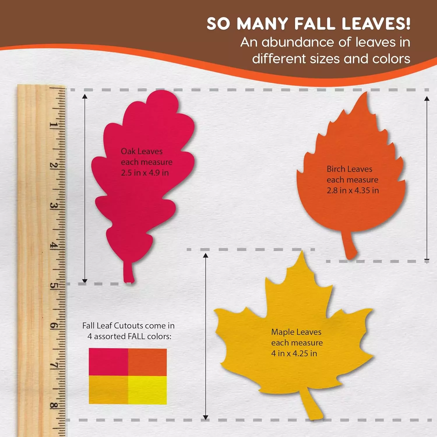 Enhance classroom aesthetics with vibrant maple and oak leaf cutouts, perfect for educational displays and creating an engaging learning environment.