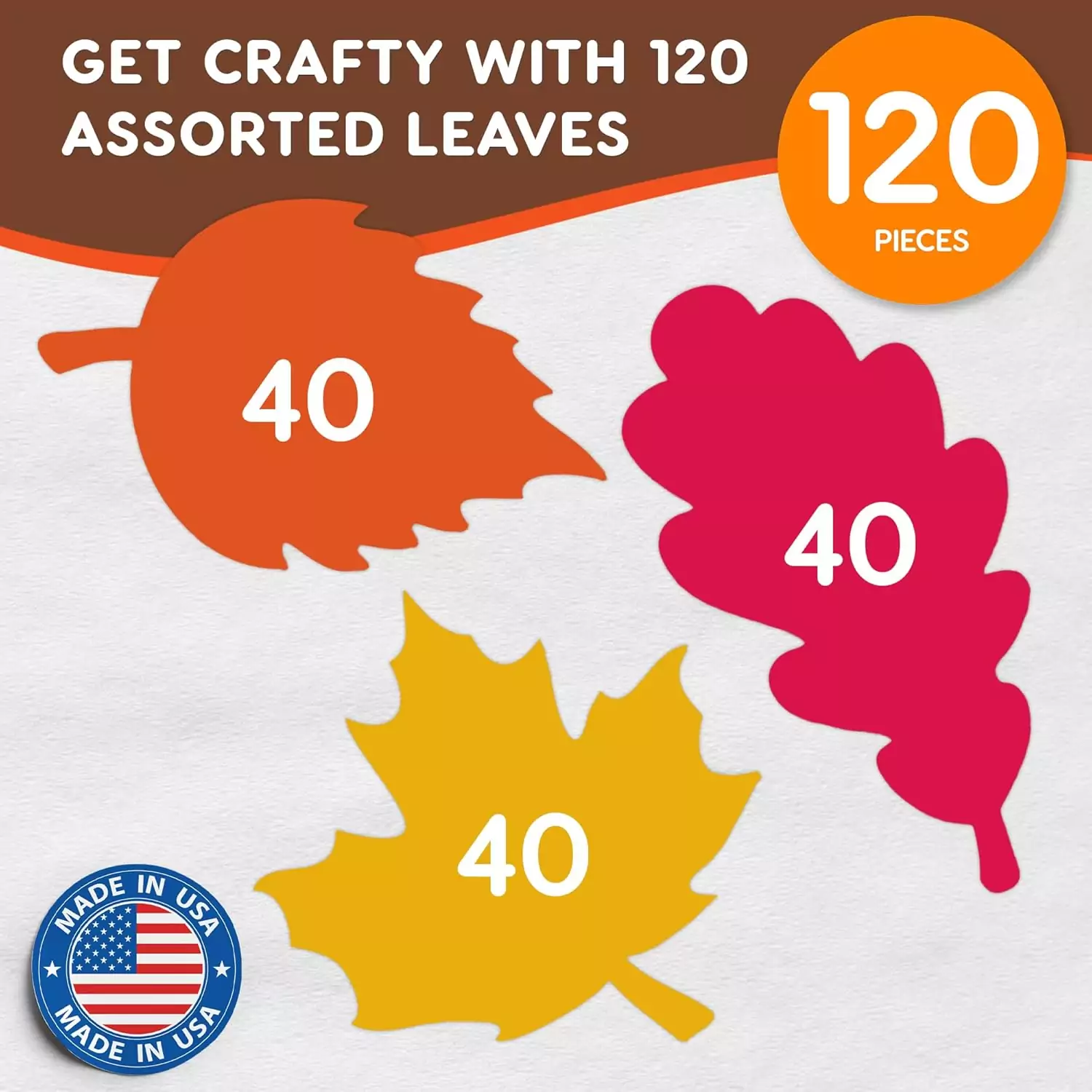 Enhance your classroom decor with double-sided maple and oak leaf cutouts. This educational pack is perfect for creating a vibrant learning environment.