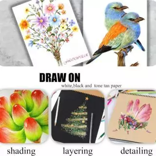Kalour 72 Soft Core Colored Pencils set is perfect for adult coloring and creative blending, offering vibrant colors and smooth application.
