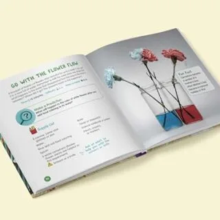 Kids History Book Cover: Engaging Events and Fascinating Facts for Children and Teachers, Perfect Resource for Young History Enthusiasts.