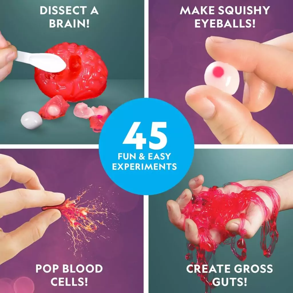 Explore the National Geographic Gross Science Kit, offering 45 exciting experiments for hands-on classroom learning and science exploration. Perfect for curious minds!