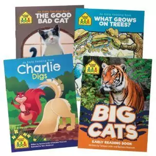 STEM-Inspired Learning Set for Preschoolers: Engaging Workbooks and Flash Cards to Boost Early Education Skills and Foster Academic Success