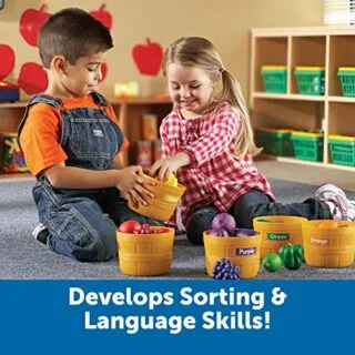 Enhance toddler development with the Farmers Market Color Sorting Set, a STEM learning toy designed for children aged 18 months and older.