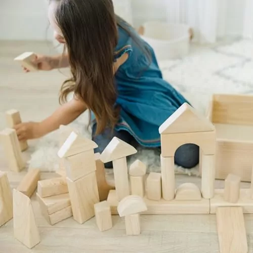Educational wooden building blocks set with 60 pieces, ideal for kids' developmental play; comes with a convenient storage tray. Perfect for learning and creativity.