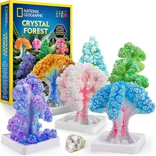 Fast 6-Hour Crystal Growing Kit: Ideal Science Fair Experiment with Six Vibrant Trees from National Geographic.