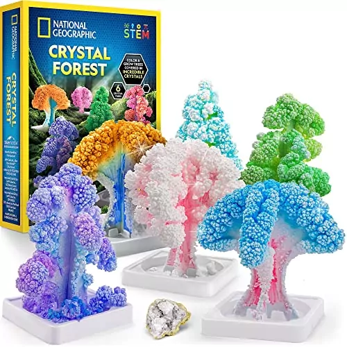 Fast 6-Hour Crystal Growing Kit: Ideal Science Fair Experiment with Six Vibrant Trees from National Geographic.