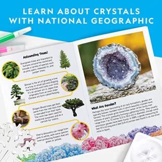 Explore the National Geographic Crystal Growing Kit for quick science fair project results, includes six vibrant tree formations for educational fun.